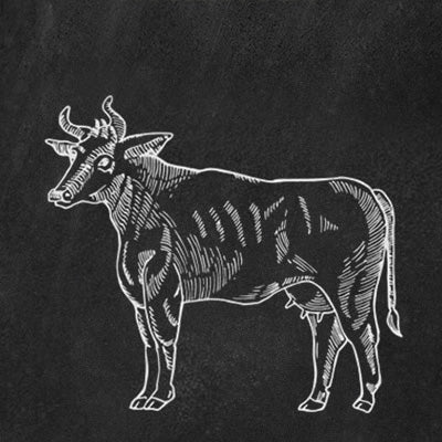 Teilstücke vom Rind