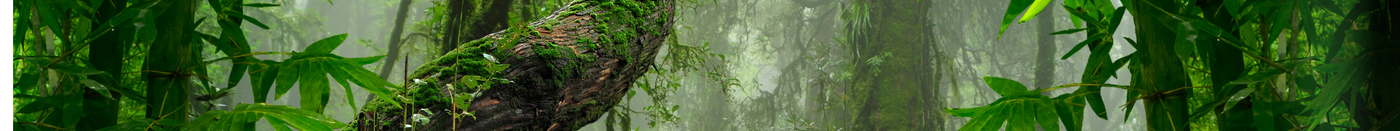 Dschungel Moselmetzger Collection Desktop Banner-Mobile