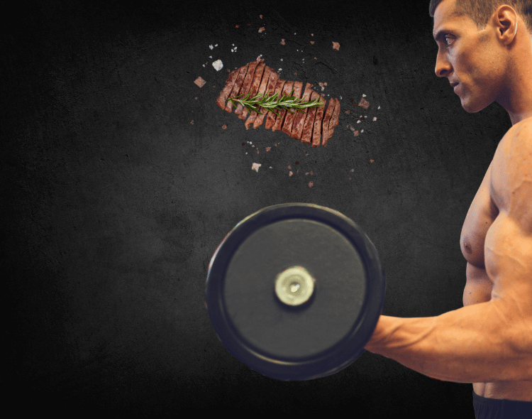 Fleisch für Sportler Kategoriebanner Mobile