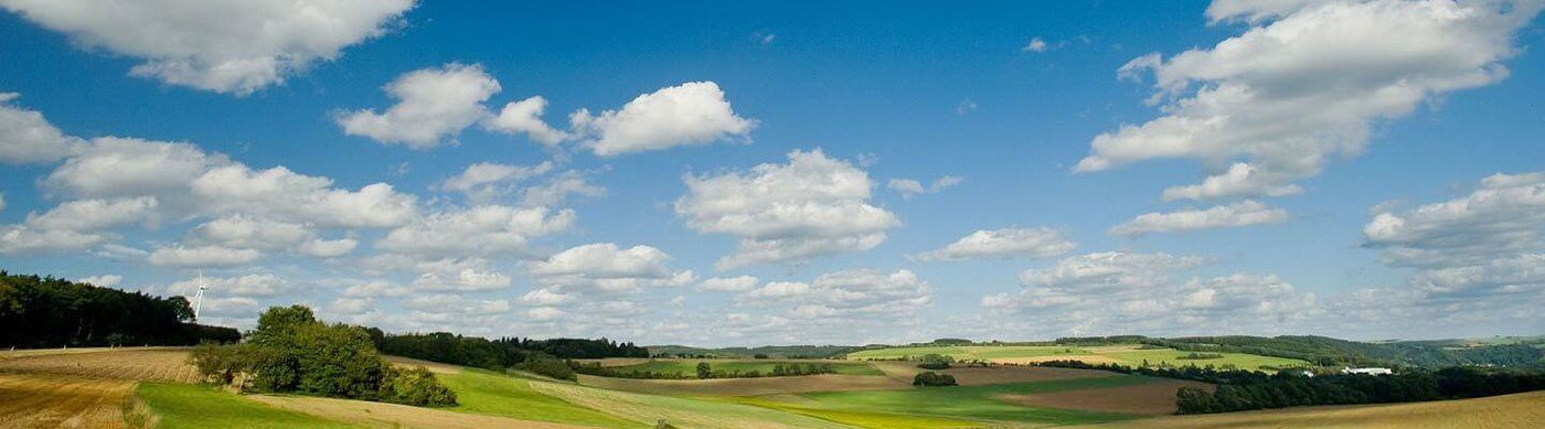 Landschaftsbild der Eifel mit Feldern und Wäldern