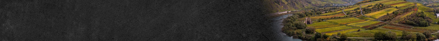 Ausschnitt Mosellauf mit Weinbergen