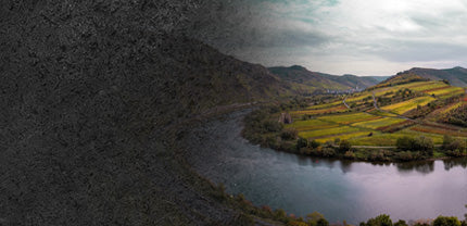 Bild mit Mosellauf und Weinbergen