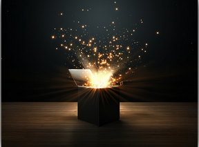 Mysterybox Moselmetzger